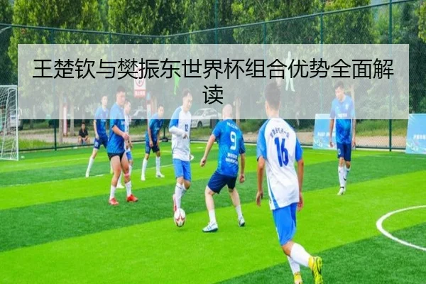 王楚钦与樊振东世界杯组合优势全面解读